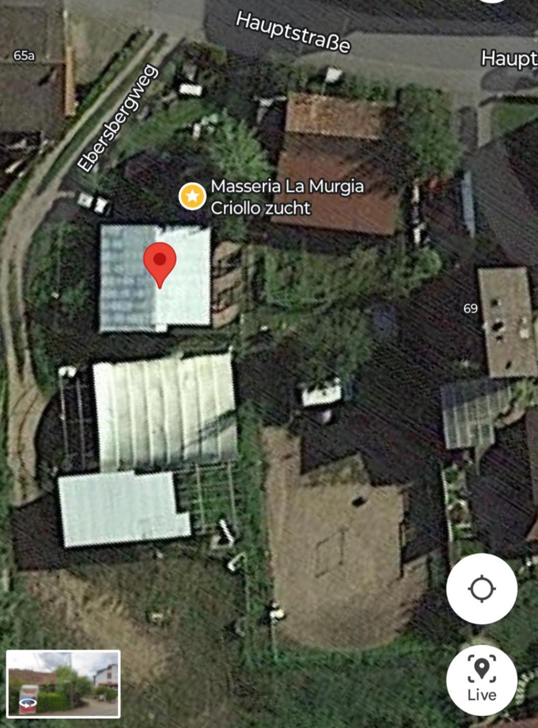 Wildcamp Resort Masseria La Murgia Unterkunft In Einem Wohnwagen Rimbach  Eksteriør bilde