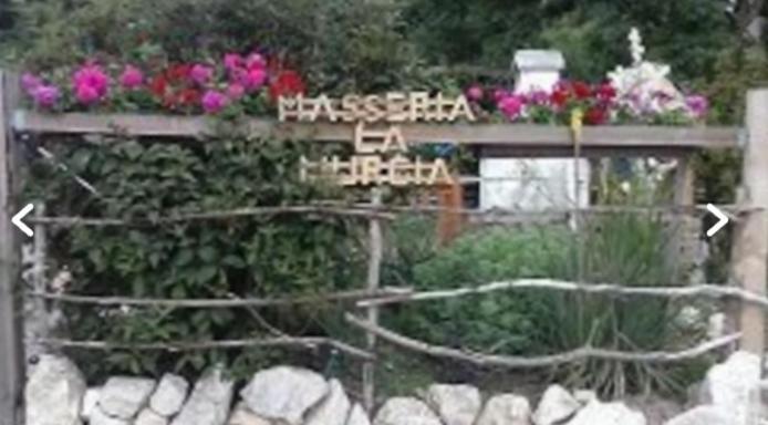 Wildcamp Resort Masseria La Murgia Unterkunft In Einem Wohnwagen Rimbach  Eksteriør bilde